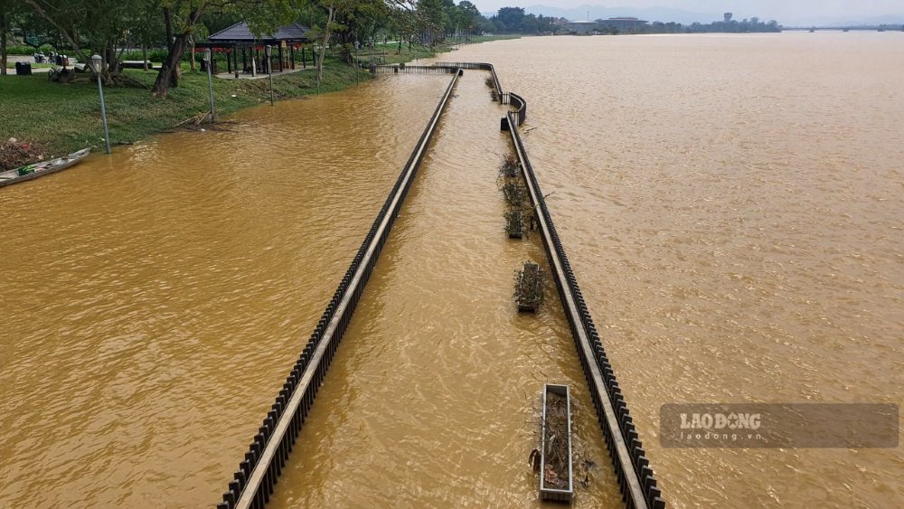 Hang nam sau moi tran lu lon, muc nuoc song Huong dang cao, co thoi diem cay cau go nay bi ngam nuoc va bun lay nhieu ngay. Ben canh do, san go lim tren cau cung phoi nang dam mua thoi gian dai, do cung co the la nguyen nhan khien van lim tren cau bi muc gay. (Cau Go Lim bi nuoc lu nhan chim nam 2022).