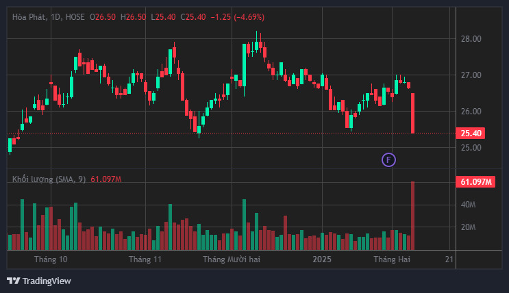 HPG "national" shares plummeted. Photo: Luc Giang