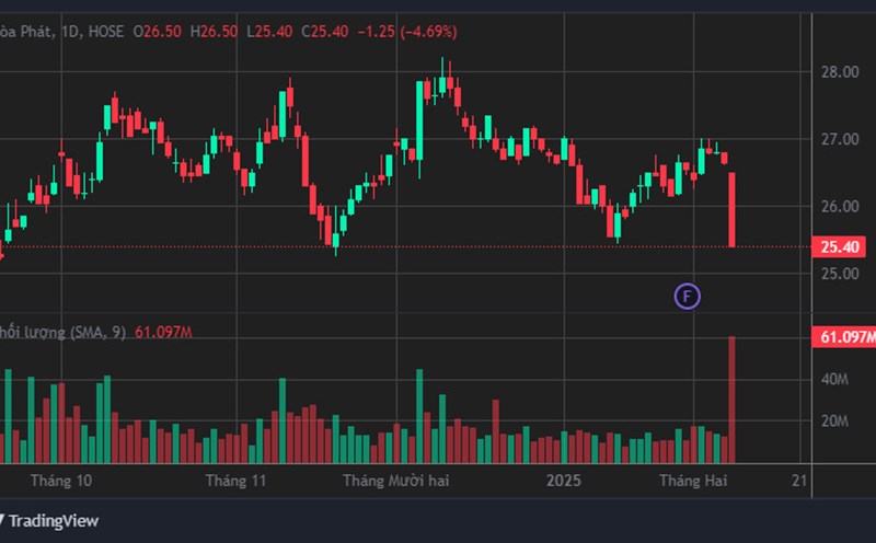 HPG "national" shares plummeted. Photo: Luc Giang
