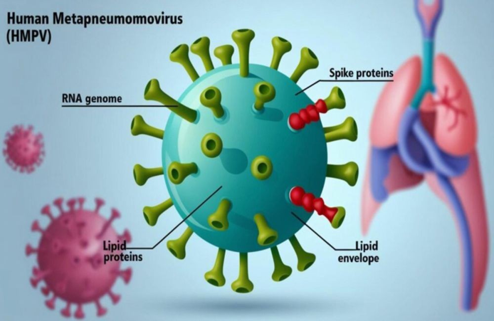 Virus HMPV hoanh hanh trong mua lanh nen cac tinh, thanh dang len ke hoach phong chong benh khan. (Anh: Trung tam Kiem soat benh tat tinh Ca Mau cung cap).