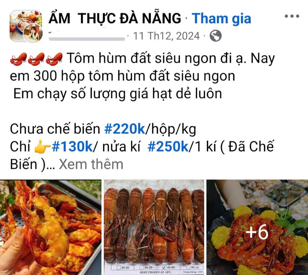 Some social networking sites in Da Nang sell lobster land. Screenshot