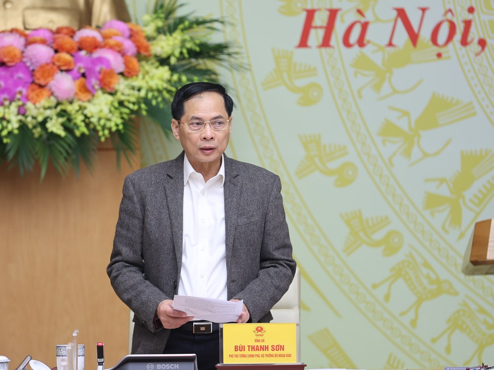 Member of the Party Central Committee, Deputy Prime Minister, Minister of Foreign Affairs Bui Thanh Son. Photo: VGP