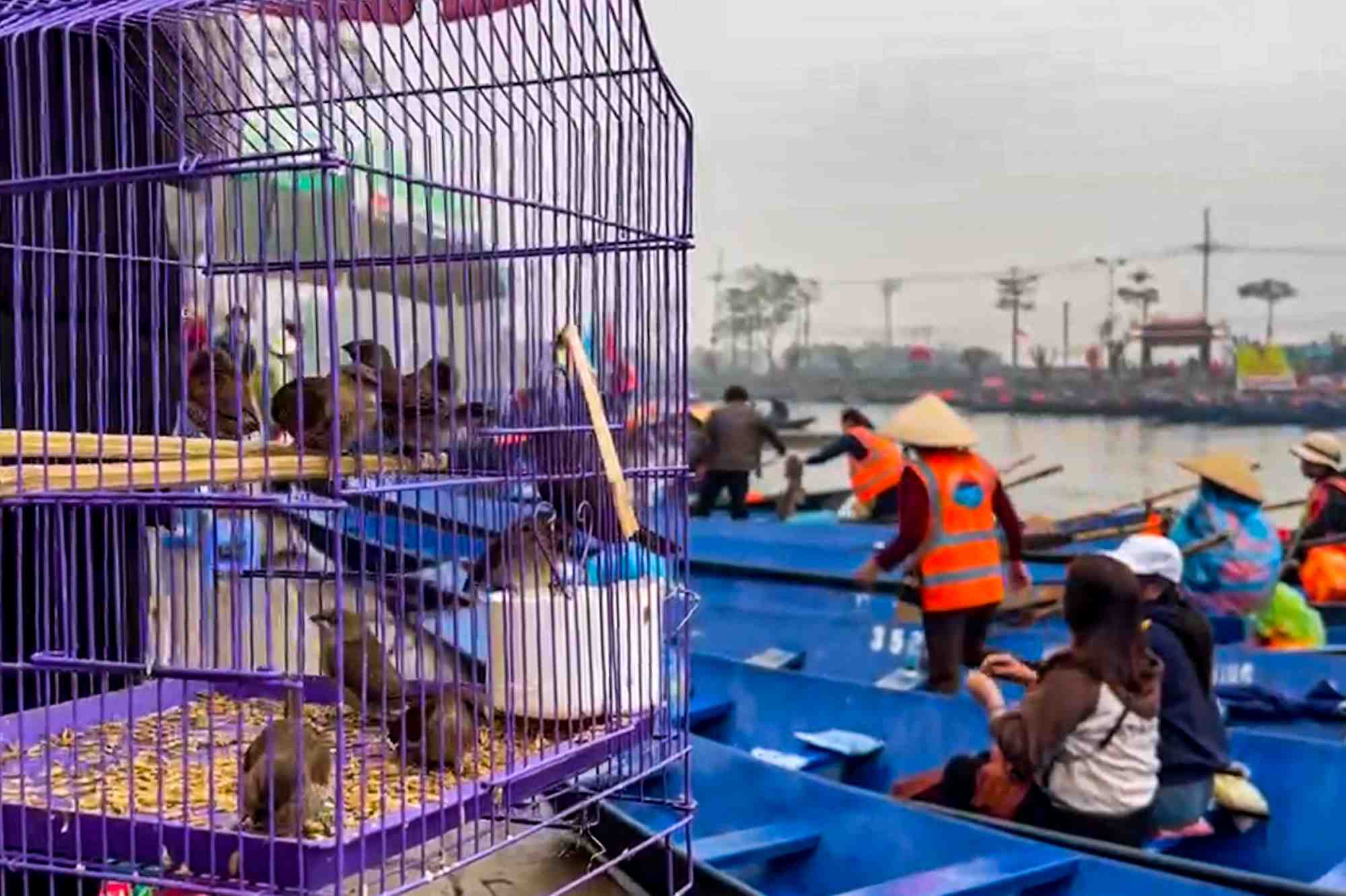 Pilgrims release birds at Huong Pagoda. Photo: PV group