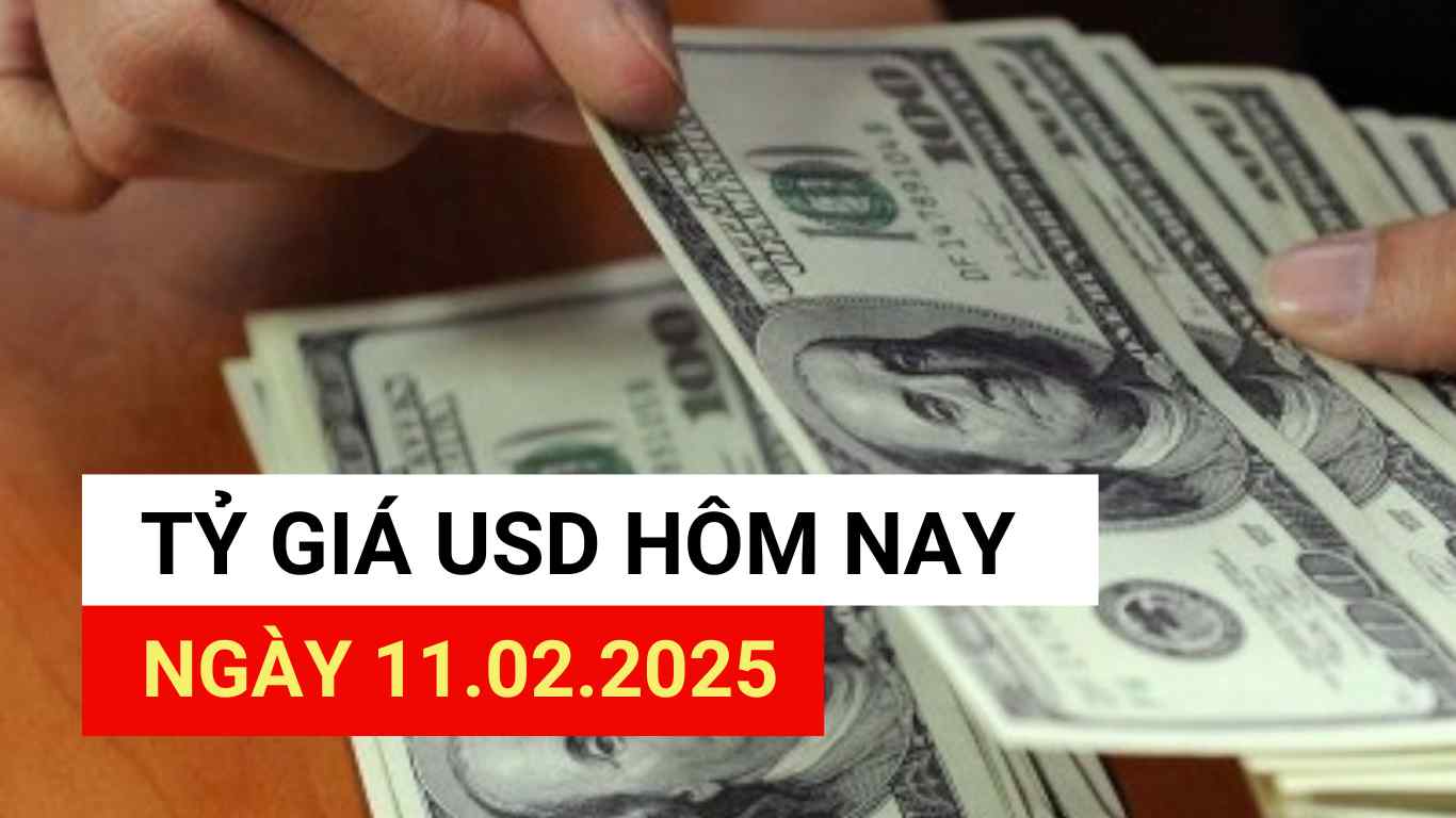 USD exchange rate today 11.2.2025.