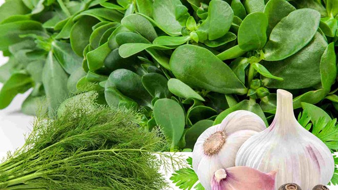 3 nguồn penicillin tự nhiên giúp tăng cường hệ miễn dịch