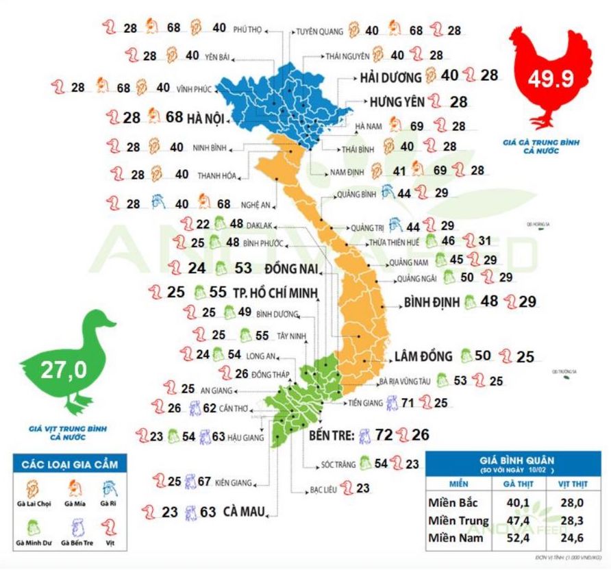 Cập nhật giá gia cầm toàn quốc ngày 11.2.2025. Nguồn: Anova Feed