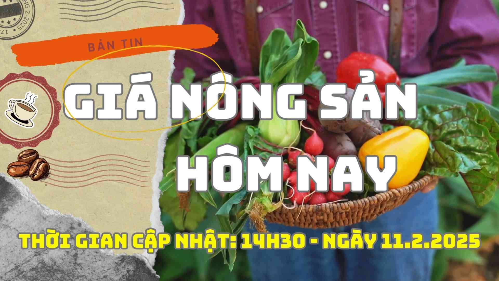 Agricultural price today on 11.225. Photo: Bao Lam