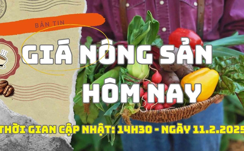 Agricultural price today on 11.225. Photo: Bao Lam