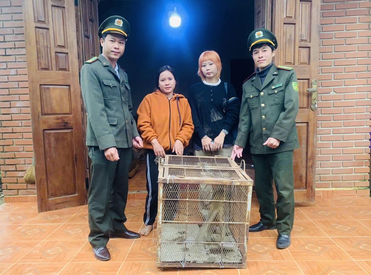 Rangers receive rare and precious yellow monkeys. Photo: Rangers provided.