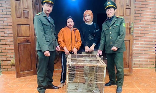 Lực lượng kiểm lâm tiếp nhận cá thể khỉ vàng quý hiếm. Ảnh: Kiểm lâm cung cấp.