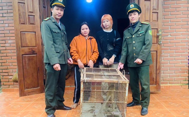 Rangers receive rare and precious yellow monkeys. Photo: Rangers provided.