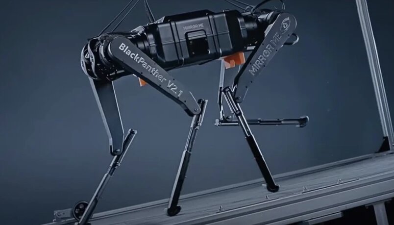 China's four-legged robot Black Panther. Photo: Xinhua