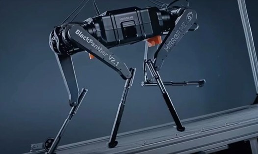 Robot 4 chân Black Panther của Trung Quốc. Ảnh: Xinhua