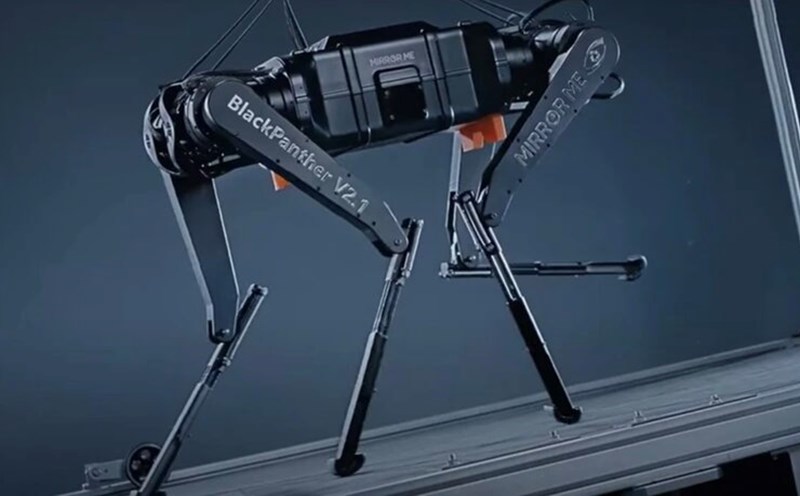 China's four-legged robot Black Panther. Photo: Xinhua