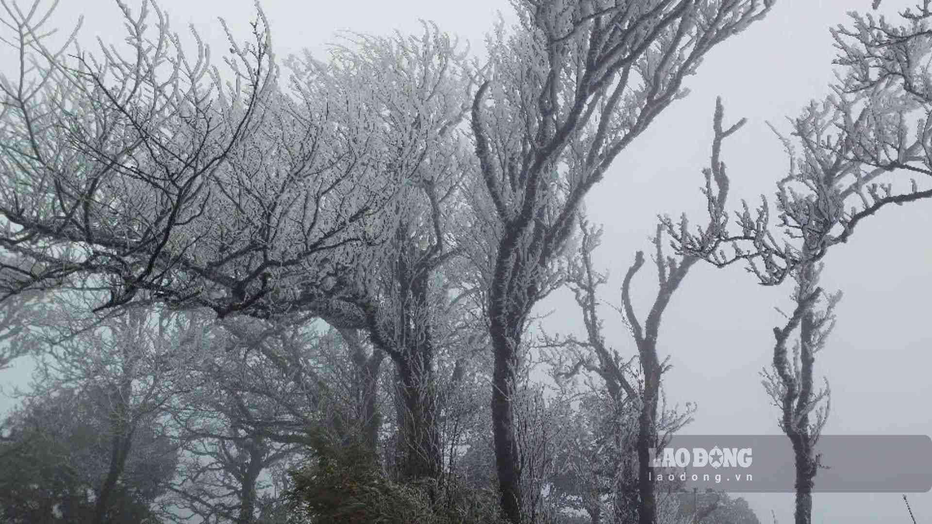 Chairman of Cao Bang province issued a telegram as the locality continuously experienced cold air. Photo: Tan Van.