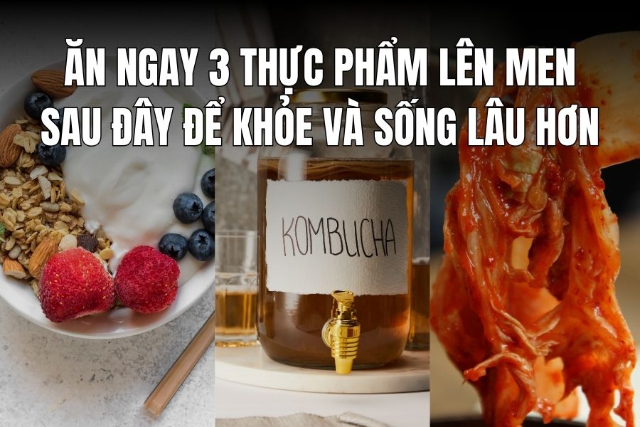 Eat the following 3 fermented foods now to stay healthy and live longer