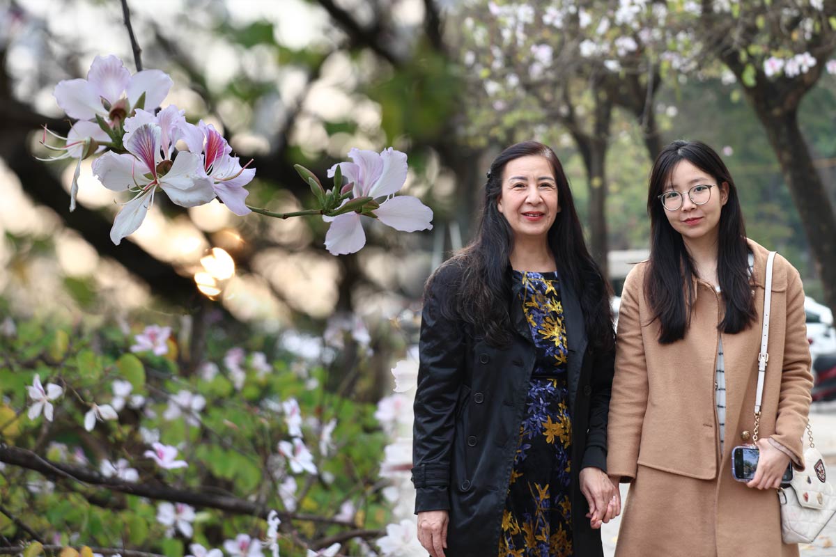 The early season of Northwest Ban flowers "captivates" Hanoians