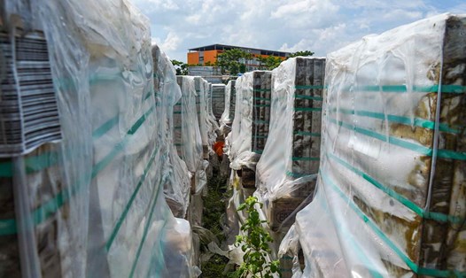 Vật liệu phơi nắng mưa nhiều năm qua. Ảnh: Tạ Quang