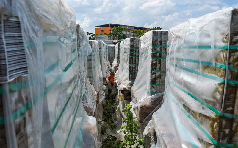 Materials exposed to sun and rain for many years. Photo: Ta Quang
