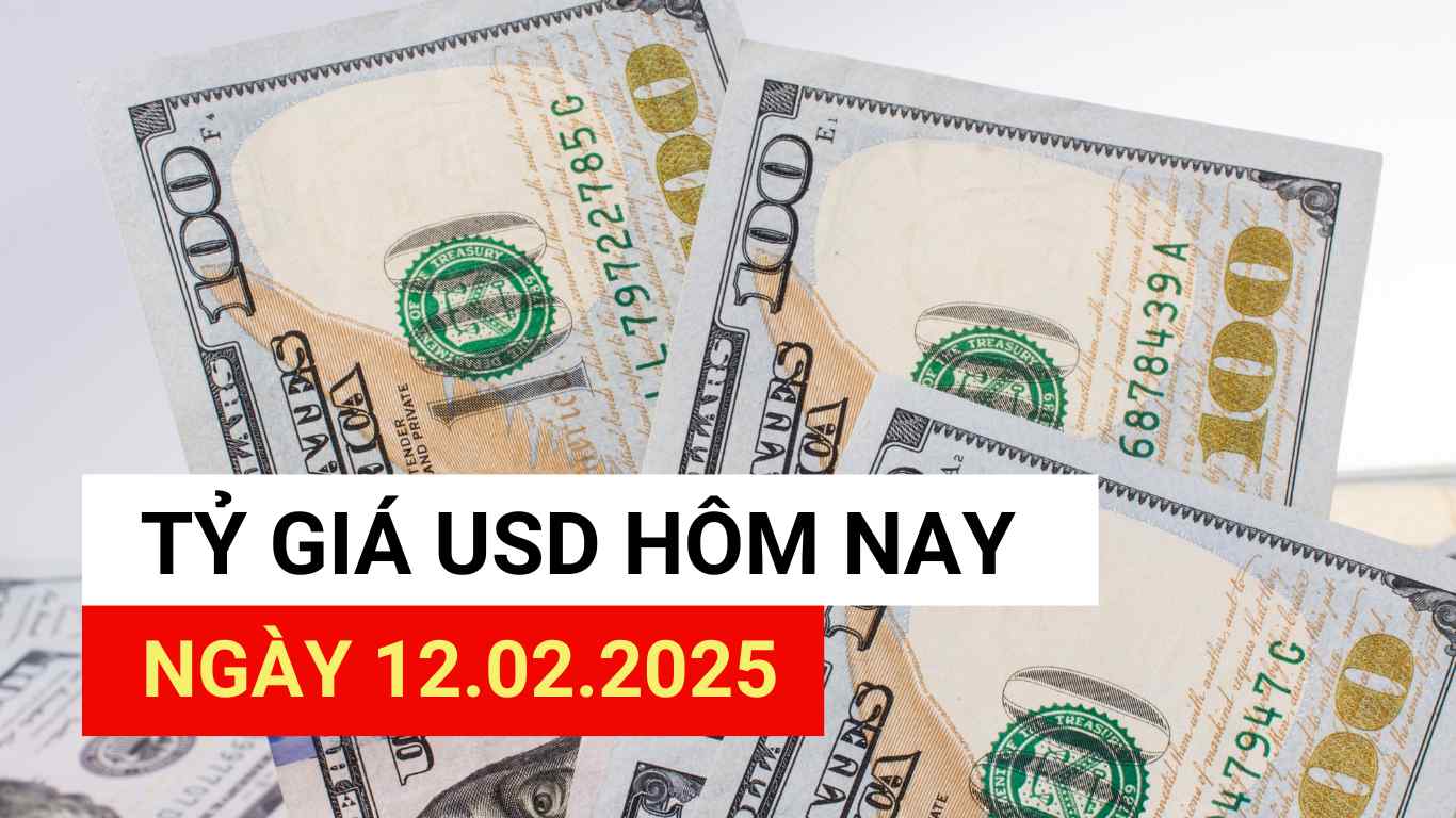 USD exchange rate today 12.2.2025.