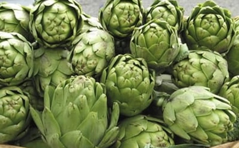 Artichokes can aid in weight loss. Photo: Nghia Thanh