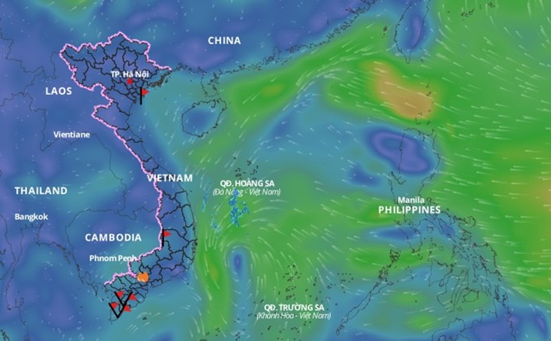 This morning, February 12, a tropical depression is active in the central East Sea. Photo: Vietnam Disaster Monitoring System