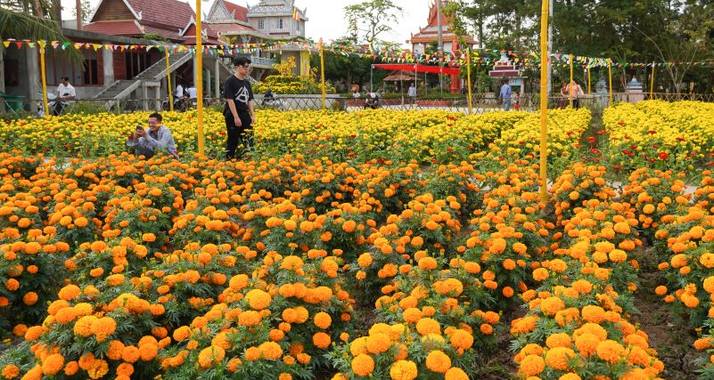 Duoc biet viec trong hoa trong khuon vien duoc nha chua duy tri thuc hien khoang 4 nam nay vao moi dip Tet keo dai den Ram thang Gieng nham tao them diem nhan cho du khach den voi noi day.