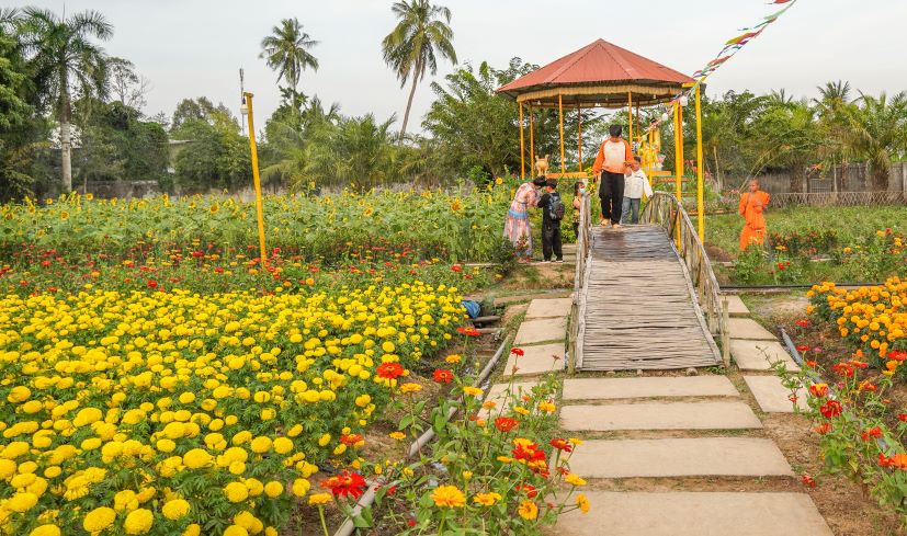 Hien nay, nhieu luong hoa da tan, nha chua dang cho lam dat de gieo hat cho lua hoa moi. 