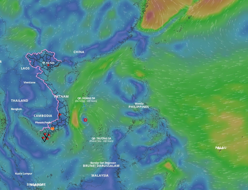 Cold air is forecast to affect the weather in the Gulf of Tonkin and the North East Sea from the morning of February 13. Above is the image of the wind direction layer over the sea updated at 4:30 p.m. on February 12. Photo: Vietnam Natural Disaster Monitoring System