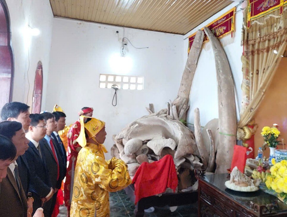 Cau Ngu Festival at the place where the 27m long whale skeleton is kept. Photo: P.Hoai