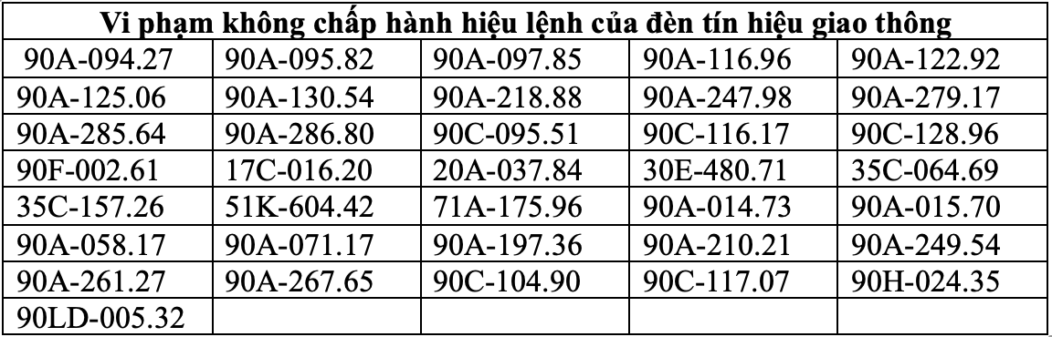 Phat nguoi vi pham khong chap hanh hieu lenh cua den tin hieu giao thong. Anh: Cong an tinh Ha Nam