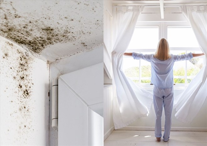 Thói quen khiến môi trường sống ẩm mốc, gây bệnh hô hấp