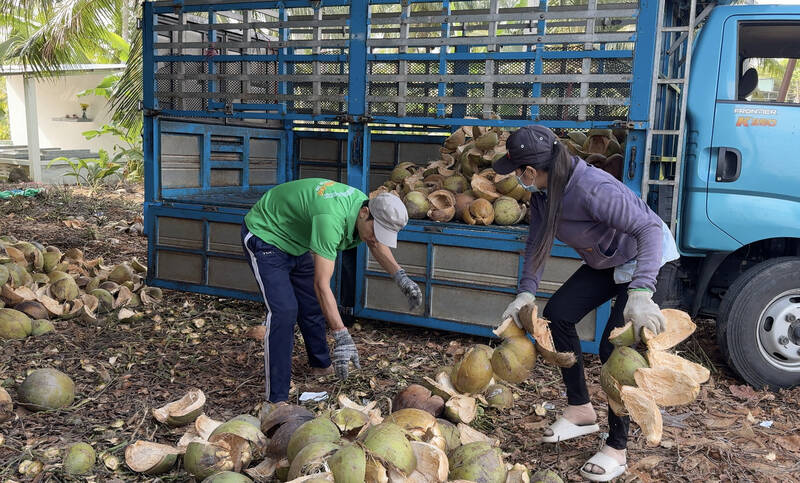 Nguoi lao dong nong thon co viec lam on dinh tai HTX nong nghiep Van Hung. Anh: Hoang Loc