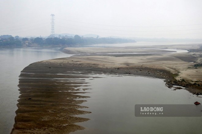 Nước sông Hồng cạn, có nơi như có thể đi bộ qua được