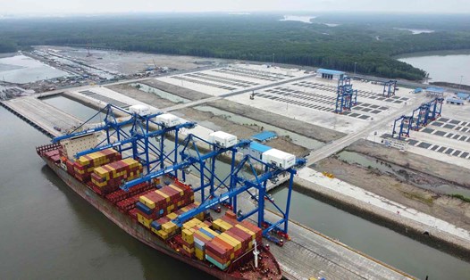 Cảng Phước An đón chuyến tàu đầu tiên từ Singapore của hãng tàu MSC ngày 13.2. Ảnh: HAC