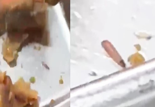 Live larvae found in boarding school food by students. Photo: Video cut