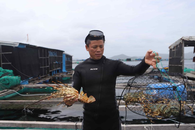 Du doi mat voi nhieu kho khan nhu xam nhap man, chi phi logistics cao, gia vat tu tang, nganh tom 2024 van dat ket qua tich cuc.  