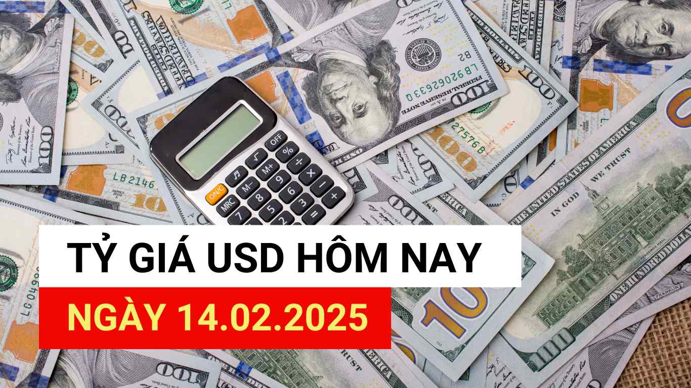 USD exchange rate today, February 14, 2025.