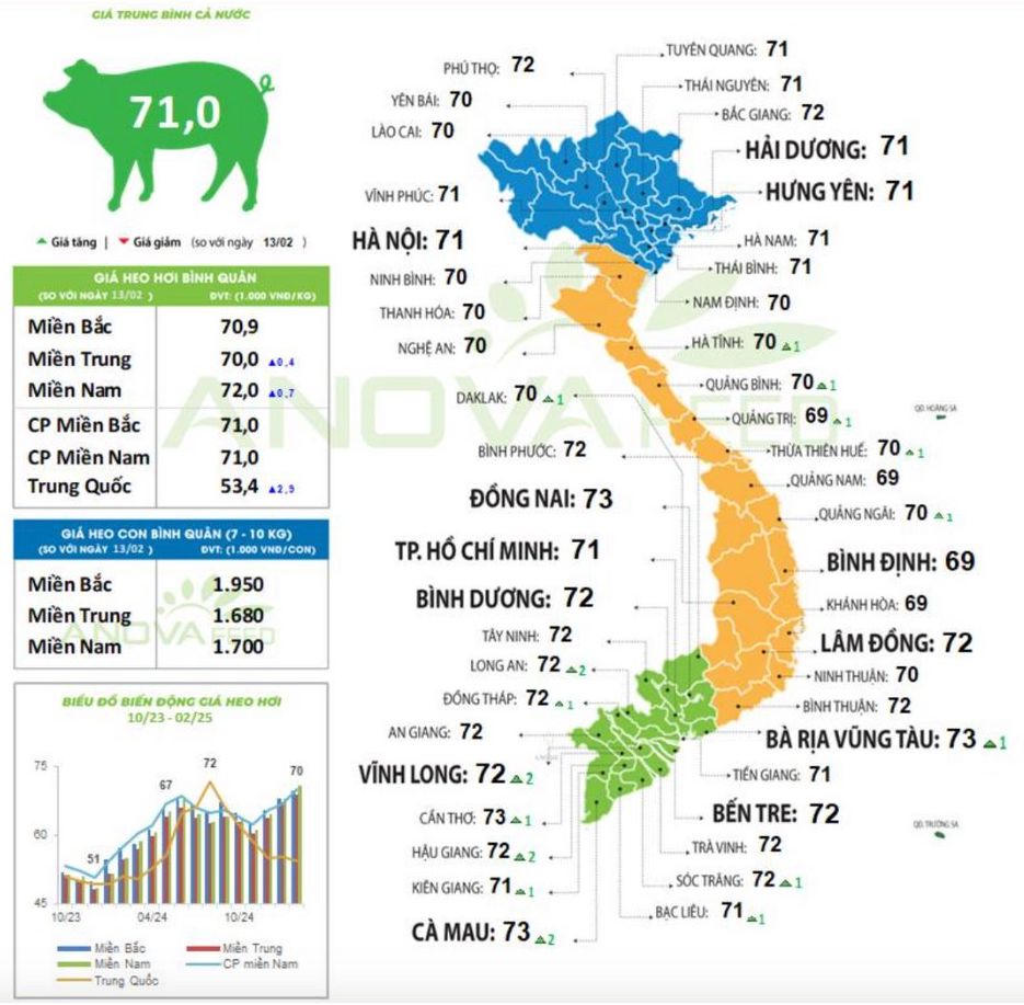 Cap nhat gia lon toan quoc ngay 14.2.2025. Nguon: Anova Feed