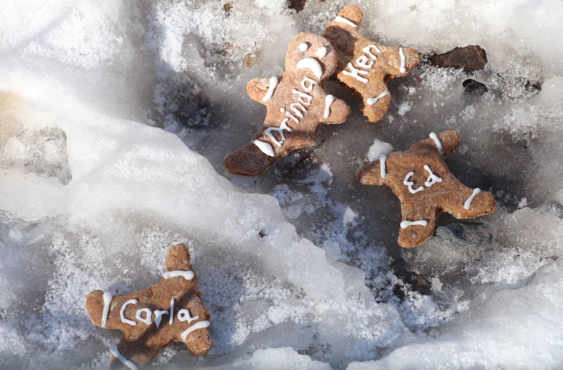 A wildlife reserve in the US provides a service of writing the name of an ex-lover on a cake and throwing it to the Wolves to eat. Photo: T&D's Cats of the World