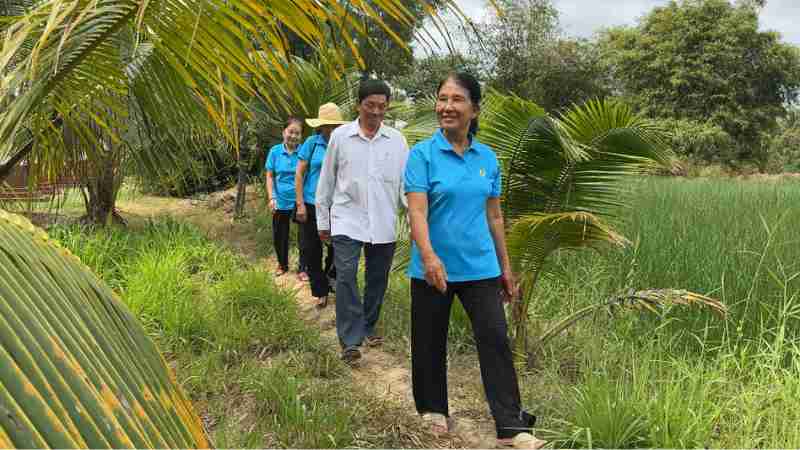 The price of slices has decreased, and the government recommends not changing the plants. Hoang Loc