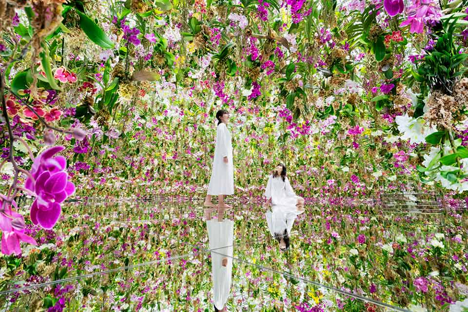 Trong “Khu vuc vuon”, ban co the dam minh trong the gioi cua tren 13,000 bong hoa lan song dong trong tac pham “Floating Flower Garden (Vuon hoa noi)”: Hoa va Toi mang cung Goc re, Khu vuon va Toi nhu hoa lam Mot”. Anh: teamLab