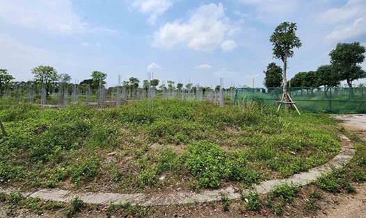 Giá đất nền nhiều khu vực tăng mạnh trong 2 năm qua. Ảnh: Cao Nguyên