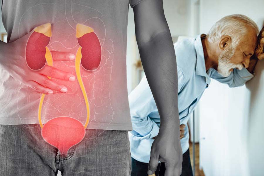 Nhiễm trùng đường tiết niệu ở người lớn tuổi có thể gây biến chứng nghiêm trọng, cần phát hiện và điều trị kịp thời. Đồ hoạ: Thiện Nhân