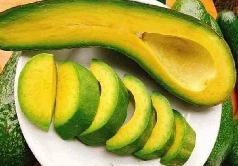 Avocado is said to improve fatty liver condition. Photo: Kieu Vu