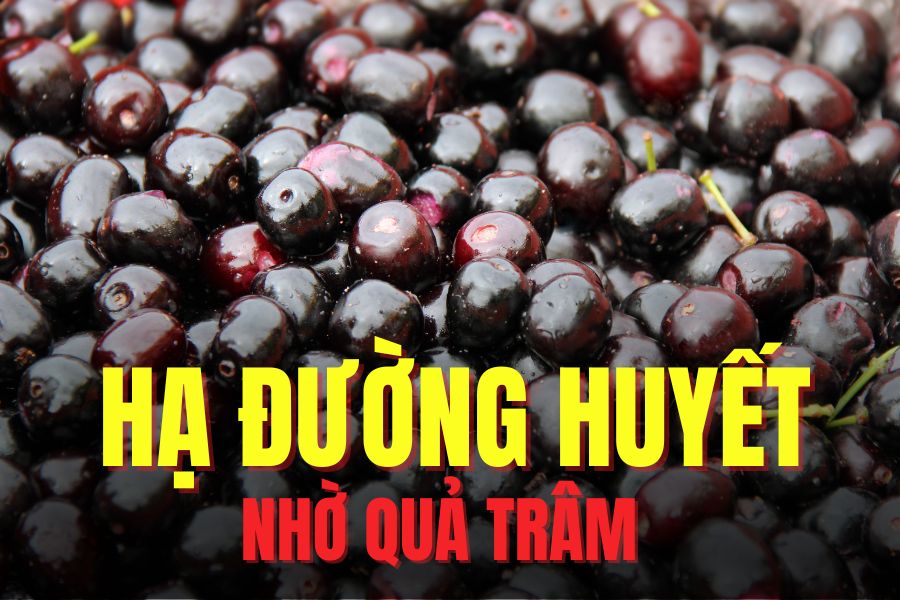 blackberry helps lower blood sugar effectively. Graphics: Tra My