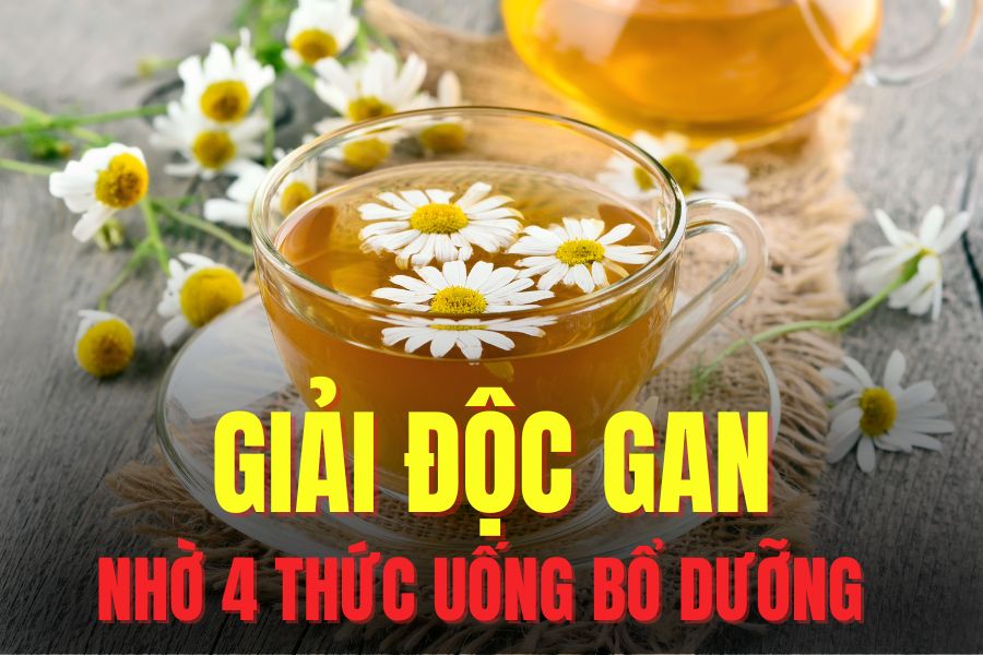 4 types of nutritious drinks that support quick liver detoxification. Graphics: Tra My