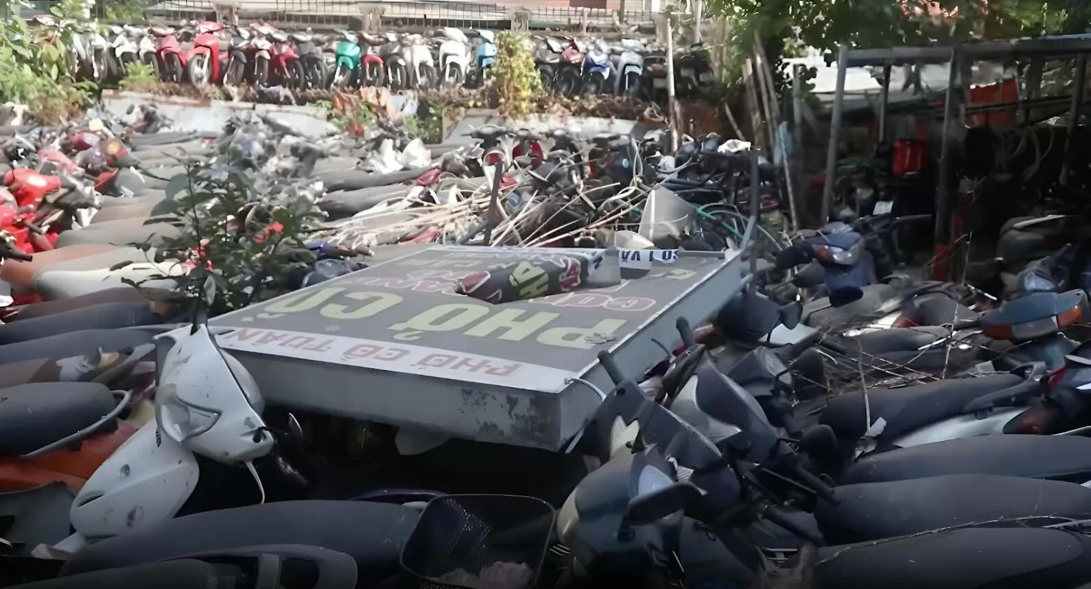 Dien Bien auctioned 46 motorbikes and motorbikes with a starting price of only over 500,000 VND. Photo: Hai Danh