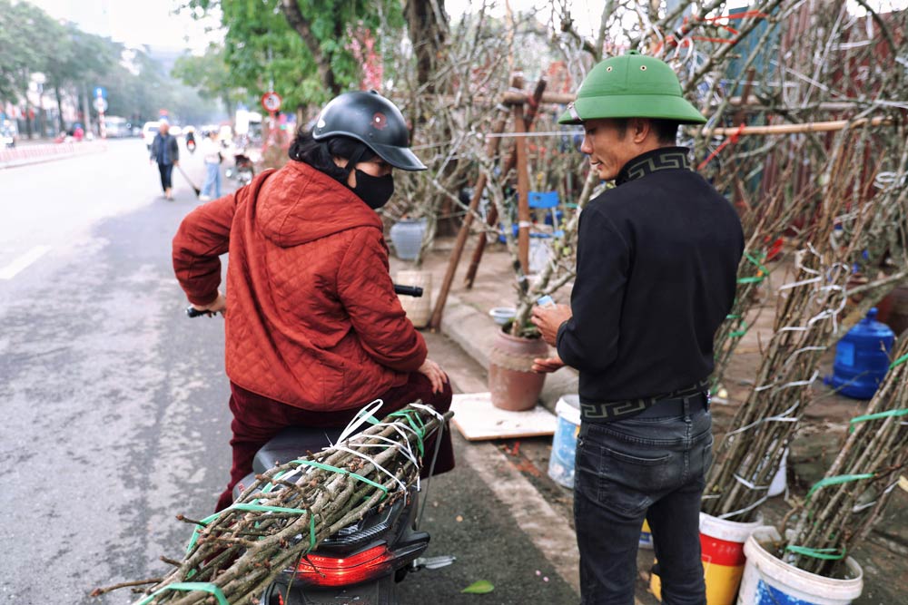 Nhung chum hoa man trang muot cung duoc long rat nhieu khach choi hoa.