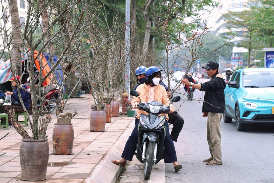 Theo ghi nhan cua PV, cung giong nhu hoa dao, gia hoa le sau Tet cung re “bat ngo” nen nguoi dan rat de mua.